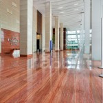 Real Estate Photographer in Mumbai